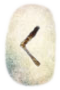 Kaunaz
