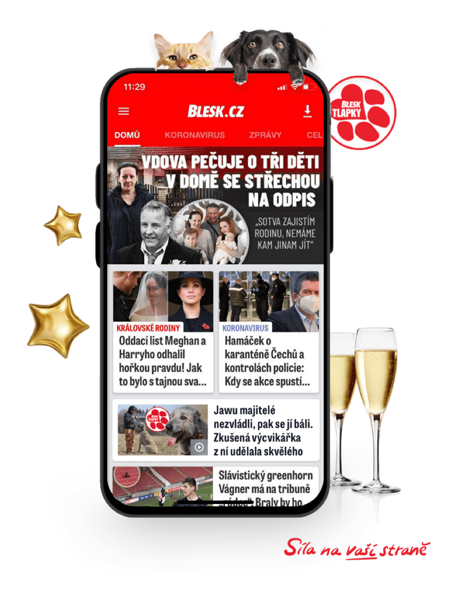 Blesk mobilní aplikace